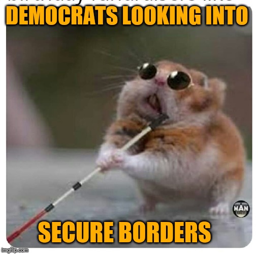 Convenient Blindness | DEMOCRATS LOOKING INTO; SECURE BORDERS | image tagged in illegal immigration | made w/ Imgflip meme maker