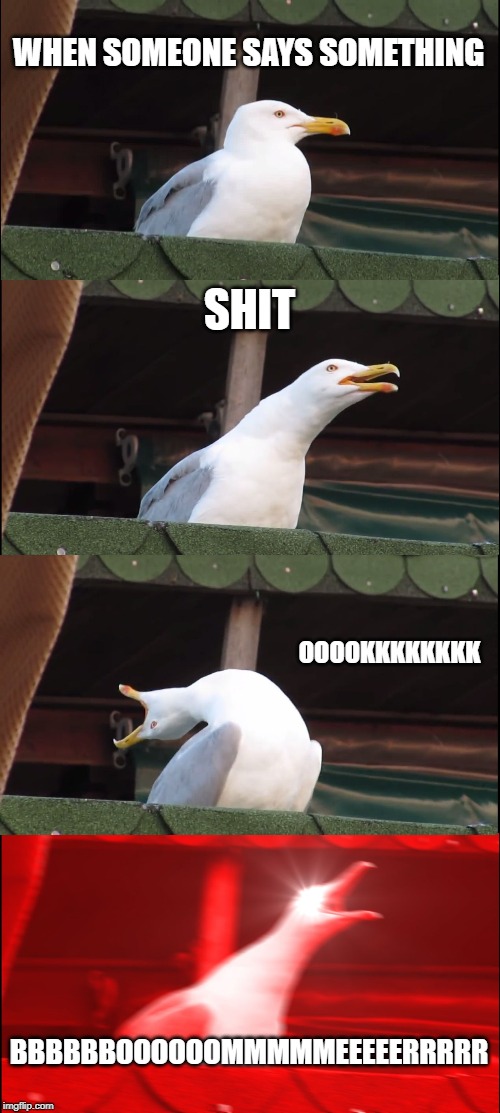 Inhaling Seagull | WHEN SOMEONE SAYS SOMETHING; SHIT; OOOOKKKKKKKK; BBBBBBOOOOOOMMMMMEEEEERRRRR | image tagged in memes,inhaling seagull | made w/ Imgflip meme maker