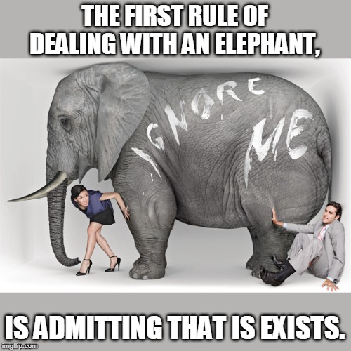 Rules two is don't talk about the elephant. :P | THE FIRST RULE OF DEALING WITH AN ELEPHANT, IS ADMITTING THAT IS EXISTS. | image tagged in elephant in the room | made w/ Imgflip meme maker