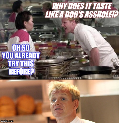 WHY DOES IT TASTE LIKE A DOG'S ASSHOLE!? OH SO 
YOU ALREADY 
TRY THIS 
BEFORE? | image tagged in memes,angry chef gordon ramsay | made w/ Imgflip meme maker