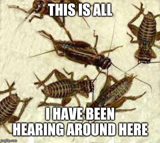 Crickets | THIS IS ALL; I HAVE BEEN HEARING AROUND HERE | image tagged in crickets | made w/ Imgflip meme maker
