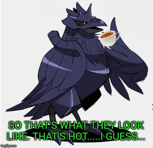 The_Tea_Drinking_Corviknight | SO THAT'S WHAT THEY LOOK LIKE. THAT'S HOT.....I GUESS... | image tagged in the_tea_drinking_corviknight | made w/ Imgflip meme maker