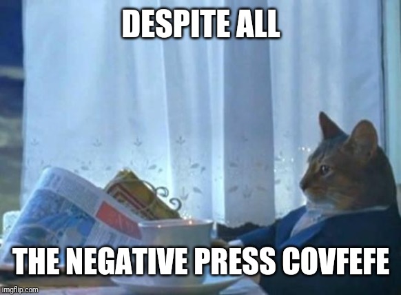 Cat newspaper | DESPITE ALL THE NEGATIVE PRESS COVFEFE | image tagged in cat newspaper | made w/ Imgflip meme maker