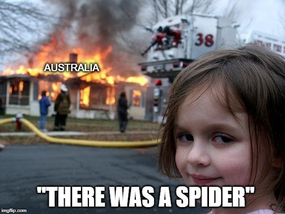 Disaster Girl Meme | AUSTRALIA; "THERE WAS A SPIDER" | image tagged in memes,disaster girl | made w/ Imgflip meme maker