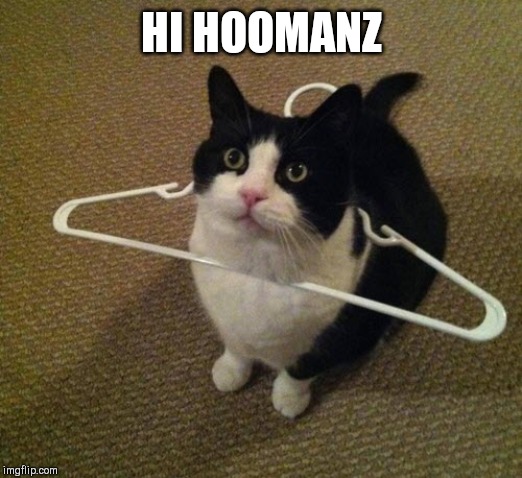 Hooman | HI HOOMANZ | image tagged in hooman | made w/ Imgflip meme maker