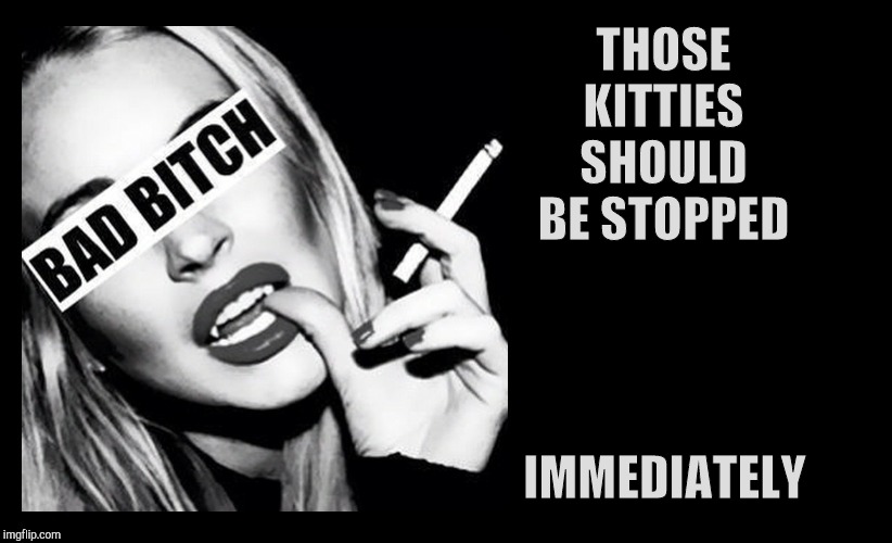 BAD BITCH ,,, | THOSE KITTIES SHOULD BE STOPPED IMMEDIATELY | image tagged in bad bitch | made w/ Imgflip meme maker