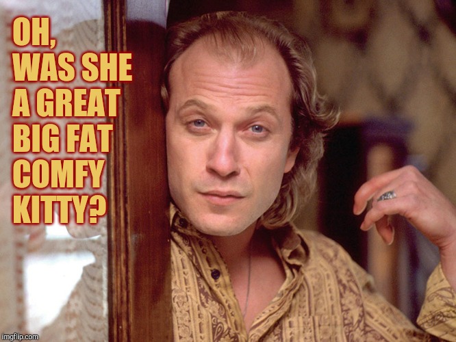 Buffalo Bill Invites You In,,, | OH, WAS SHE A GREAT BIG FAT COMFY  KITTY? | image tagged in buffalo bill invites you in | made w/ Imgflip meme maker