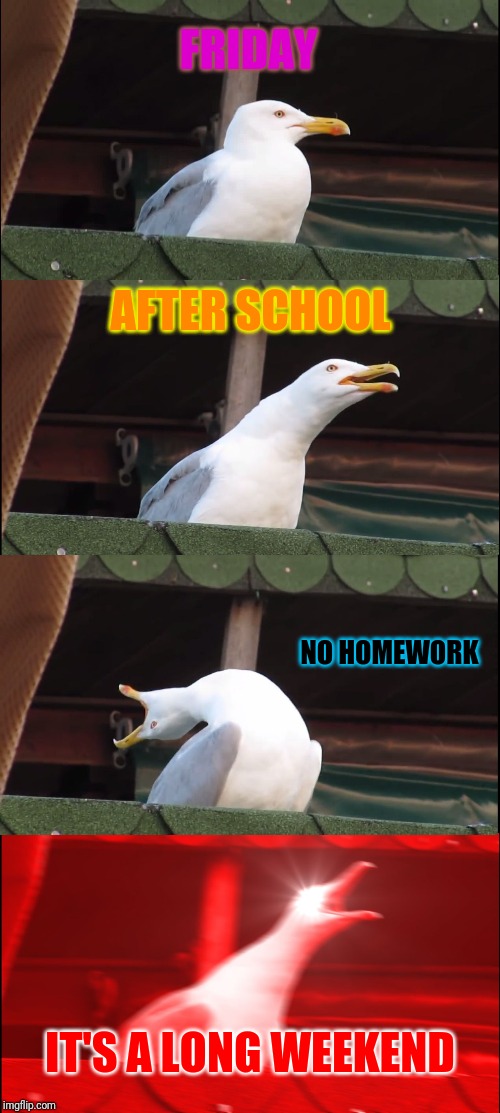 Inhaling Seagull | FRIDAY; AFTER SCHOOL; NO HOMEWORK; IT'S A LONG WEEKEND | image tagged in memes,inhaling seagull | made w/ Imgflip meme maker