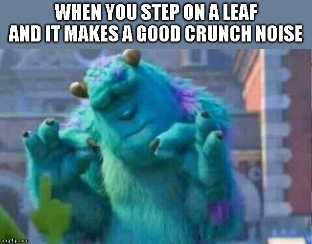 Sully shutdown | WHEN YOU STEP ON A LEAF AND IT MAKES A GOOD CRUNCH NOISE | image tagged in sully shutdown | made w/ Imgflip meme maker