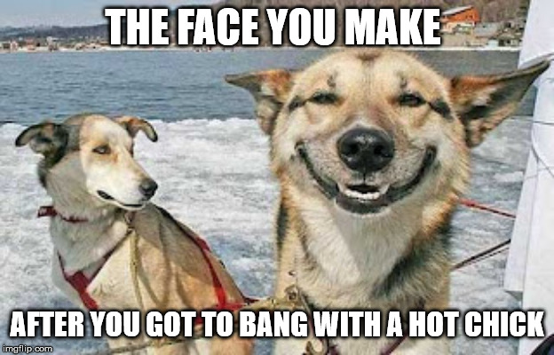 Original Stoner Dog Meme | THE FACE YOU MAKE; AFTER YOU GOT TO BANG WITH A HOT CHICK | image tagged in memes,original stoner dog | made w/ Imgflip meme maker