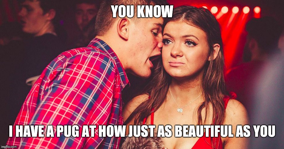PUG ARE JUST AS CUTE | YOU KNOW; I HAVE A PUG AT HOW JUST AS BEAUTIFUL AS YOU | image tagged in uncomfortable nightclub girl | made w/ Imgflip meme maker