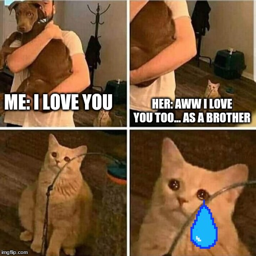 Sad Cat Holding Dog | ME: I LOVE YOU; HER: AWW I LOVE YOU TOO... AS A BROTHER | image tagged in sad cat holding dog | made w/ Imgflip meme maker