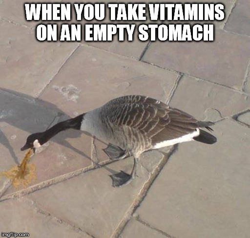 WHEN YOU TAKE VITAMINS ON AN EMPTY STOMACH | image tagged in vitamins,sickness,vomit | made w/ Imgflip meme maker