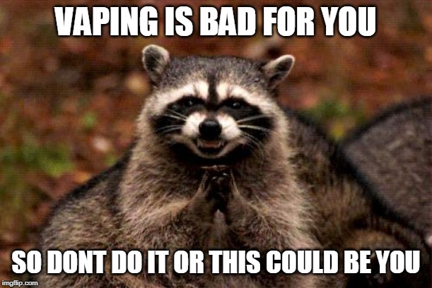 Evil Plotting Raccoon | VAPING IS BAD FOR YOU; SO DONT DO IT OR THIS COULD BE YOU | image tagged in memes,evil plotting raccoon | made w/ Imgflip meme maker