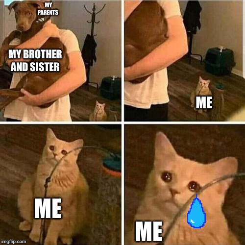 Sad Cat Holding Dog | MY PARENTS; MY BROTHER AND SISTER; ME; ME; ME | image tagged in sad cat holding dog | made w/ Imgflip meme maker