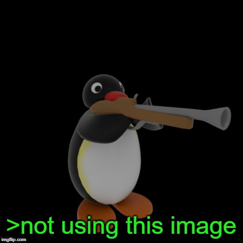 Pingu with a gun | >not using this image | image tagged in pingu with a gun | made w/ Imgflip meme maker