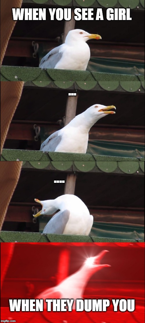 Inhaling Seagull | WHEN YOU SEE A GIRL; ... .... WHEN THEY DUMP YOU | image tagged in memes,inhaling seagull | made w/ Imgflip meme maker