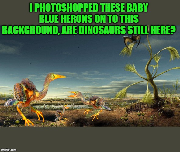 are they still here? | I PHOTOSHOPPED THESE BABY BLUE HERONS ON TO THIS BACKGROUND, ARE DINOSAURS STILL HERE? | image tagged in dinosaurs,blue herons | made w/ Imgflip meme maker