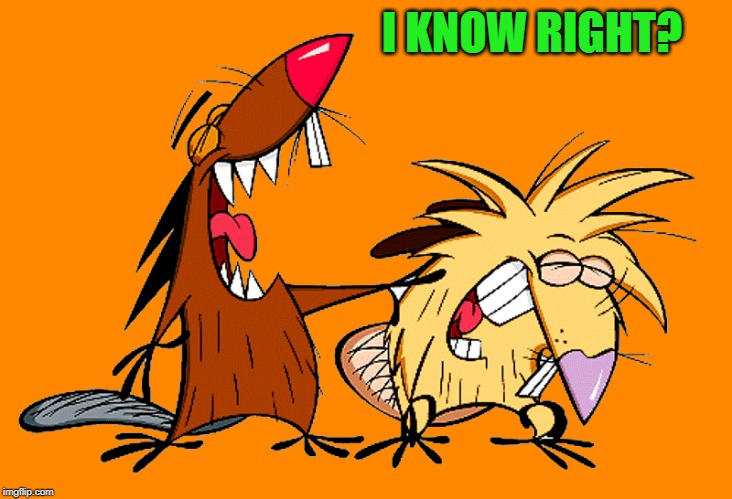 angry beavers | I KNOW RIGHT? | image tagged in angry beavers | made w/ Imgflip meme maker