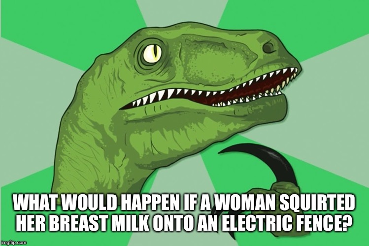 new philosoraptor | WHAT WOULD HAPPEN IF A WOMAN SQUIRTED HER BREAST MILK ONTO AN ELECTRIC FENCE? | image tagged in new philosoraptor | made w/ Imgflip meme maker