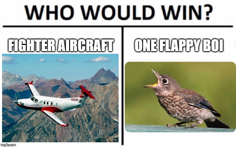 Who Would Win? | FIGHTER AIRCRAFT; ONE FLAPPY BOI | image tagged in memes,who would win | made w/ Imgflip meme maker