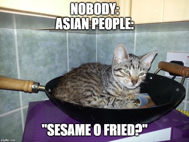  NOBODY:
ASIAN PEOPLE:; "SESAME O FRIED?" | image tagged in memes | made w/ Imgflip meme maker