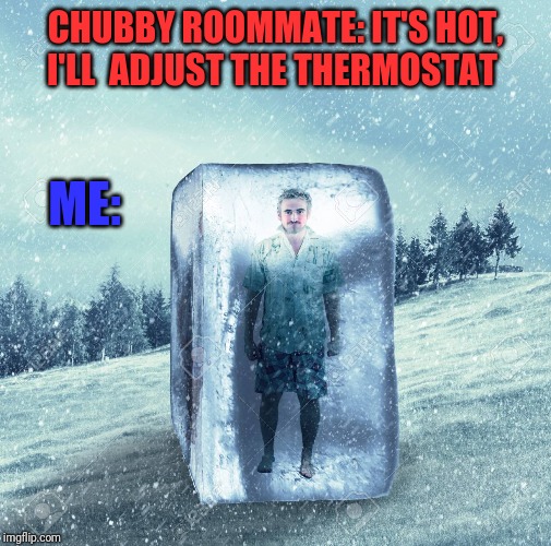 CHUBBY ROOMMATE: IT'S HOT, I'LL  ADJUST THE THERMOSTAT; ME: | image tagged in funny memes | made w/ Imgflip meme maker