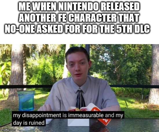 Why Sakurai?! | ME WHEN NINTENDO RELEASED ANOTHER FE CHARACTER THAT NO-ONE ASKED FOR FOR THE 5TH DLC | image tagged in memes | made w/ Imgflip meme maker