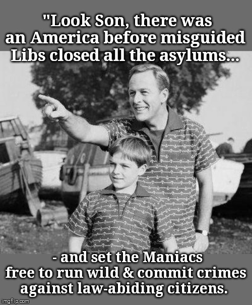 VOTE CONSERVATIVE- RETURN USA TO SANITY | "Look Son, there was an America before misguided Libs closed all the asylums... - and set the Maniacs free to run wild & commit crimes against law-abiding citizens. | image tagged in memes,look son | made w/ Imgflip meme maker