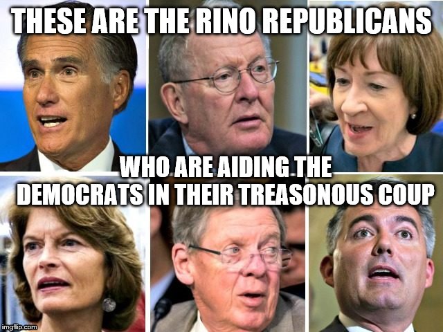 RINO Republicans | THESE ARE THE RINO REPUBLICANS; WHO ARE AIDING THE DEMOCRATS IN THEIR TREASONOUS COUP | image tagged in rino republicans | made w/ Imgflip meme maker