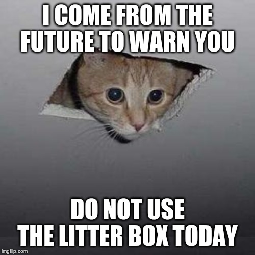 Ceiling Cat | I COME FROM THE FUTURE TO WARN YOU; DO NOT USE THE LITTER BOX TODAY | image tagged in memes,ceiling cat | made w/ Imgflip meme maker