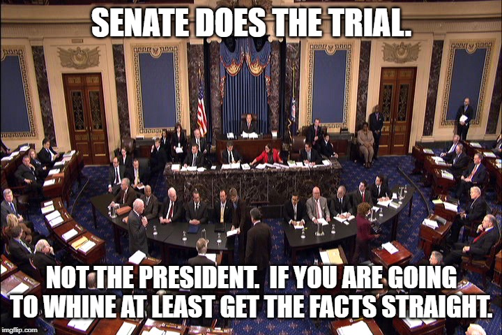 Senate floor | SENATE DOES THE TRIAL. NOT THE PRESIDENT.  IF YOU ARE GOING TO WHINE AT LEAST GET THE FACTS STRAIGHT. | image tagged in senate floor | made w/ Imgflip meme maker