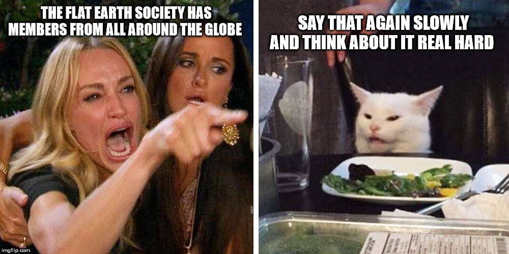 Smudge the cat | SAY THAT AGAIN SLOWLY AND THINK ABOUT IT REAL HARD; THE FLAT EARTH SOCIETY HAS MEMBERS FROM ALL AROUND THE GLOBE | image tagged in smudge the cat | made w/ Imgflip meme maker