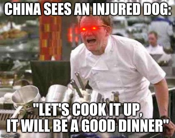 angry chef | CHINA SEES AN INJURED DOG:; "LET'S COOK IT UP, IT WILL BE A GOOD DINNER" | image tagged in angry chef | made w/ Imgflip meme maker