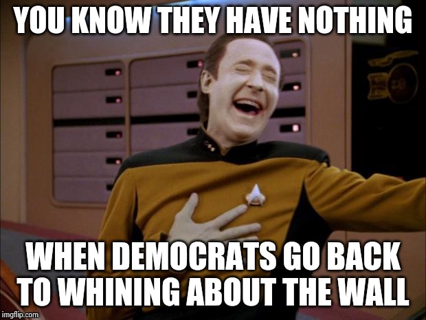 Data likes it | YOU KNOW THEY HAVE NOTHING WHEN DEMOCRATS GO BACK TO WHINING ABOUT THE WALL | image tagged in data likes it | made w/ Imgflip meme maker
