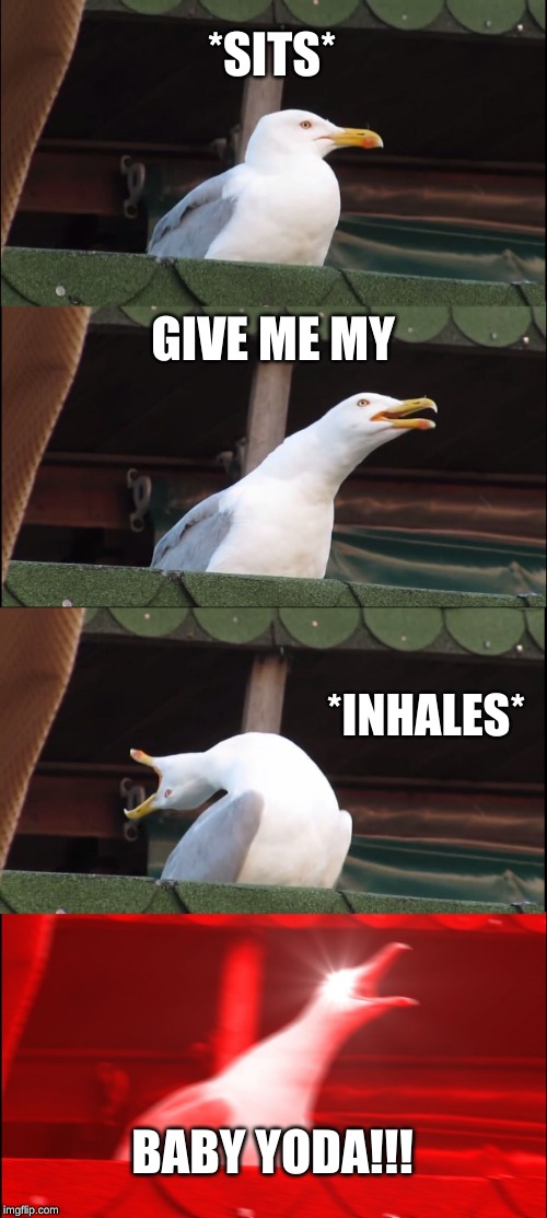 Inhaling Seagull Meme | *SITS*; GIVE ME MY; *INHALES*; BABY YODA!!! | image tagged in memes,inhaling seagull | made w/ Imgflip meme maker