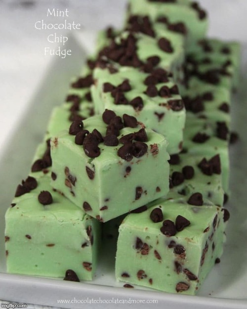 Mint Chocolate Fudge squares | made w/ Imgflip meme maker