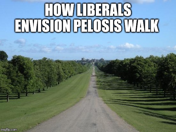 HOW LIBERALS ENVISION PELOSIS WALK | image tagged in funny memes | made w/ Imgflip meme maker