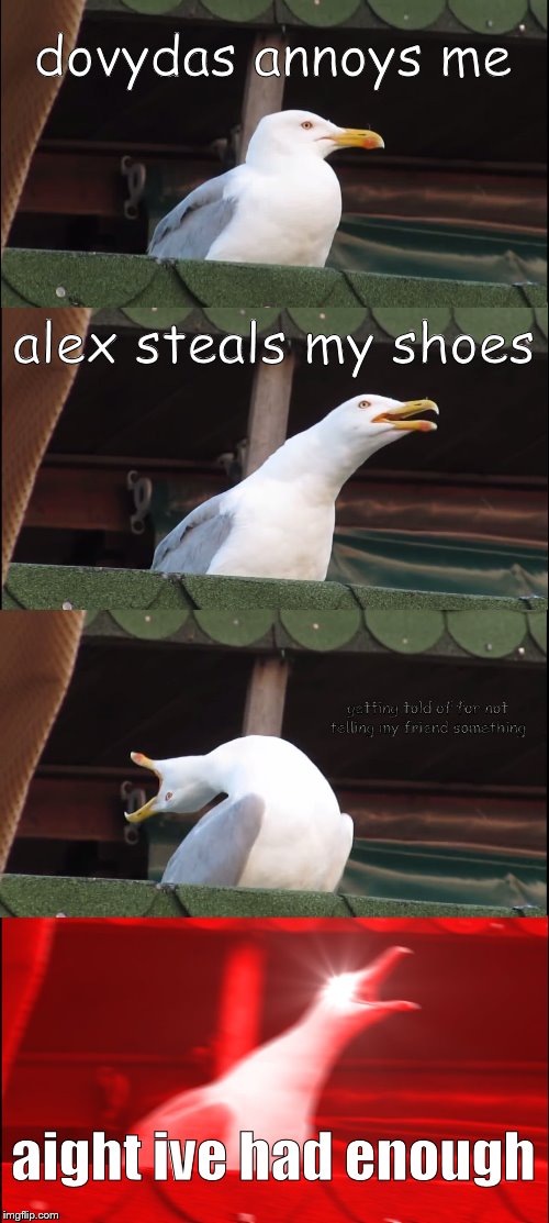 Inhaling Seagull Meme | dovydas annoys me; alex steals my shoes; getting told of for not telling my friend something; aight ive had enough | image tagged in memes,inhaling seagull | made w/ Imgflip meme maker
