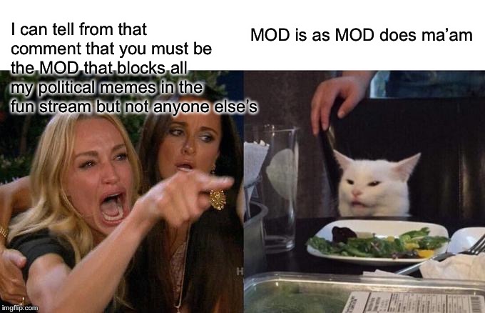 Woman Yelling At Cat Meme | I can tell from that comment that you must be the MOD that blocks all my political memes in the fun stream but not anyone else’s MOD is as M | image tagged in memes,woman yelling at cat | made w/ Imgflip meme maker