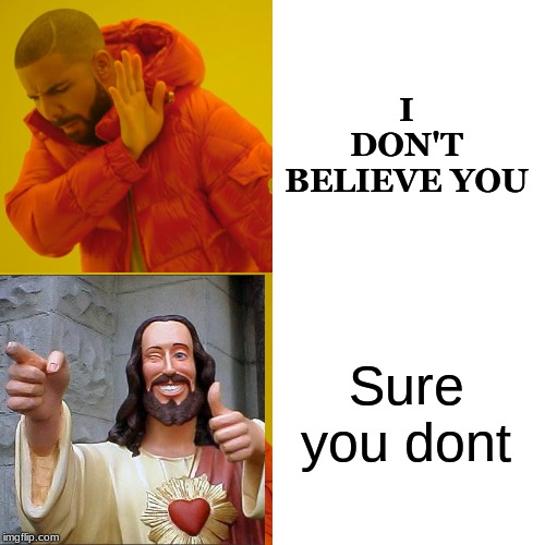 Believer | I DON'T BELIEVE YOU; Sure you dont | image tagged in memes,drake hotline bling | made w/ Imgflip meme maker