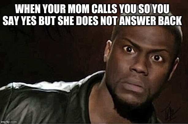 Kevin Hart | WHEN YOUR MOM CALLS YOU SO YOU SAY YES BUT SHE DOES NOT ANSWER BACK | image tagged in memes,kevin hart | made w/ Imgflip meme maker
