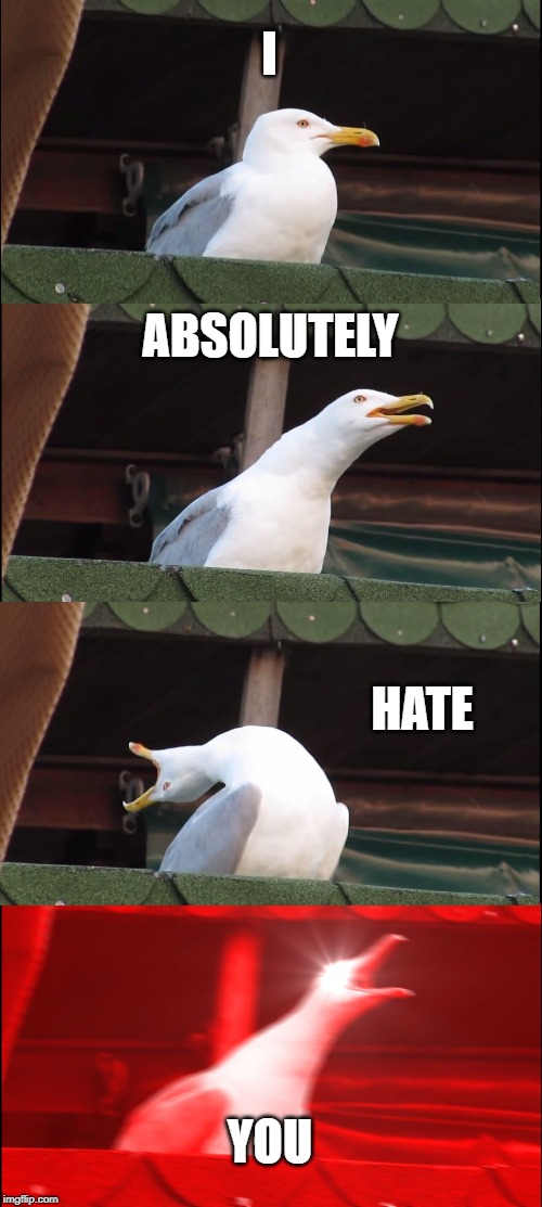 Inhaling Seagull Meme | I; ABSOLUTELY; HATE; YOU | image tagged in memes,inhaling seagull | made w/ Imgflip meme maker