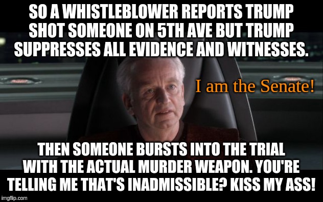 It's raining evidence - just because the court is indoors doesn't mean the public doesn't see it. | SO A WHISTLEBLOWER REPORTS TRUMP SHOT SOMEONE ON 5TH AVE BUT TRUMP SUPPRESSES ALL EVIDENCE AND WITNESSES. I am the Senate! THEN SOMEONE BURSTS INTO THE TRIAL WITH THE ACTUAL MURDER WEAPON. YOU'RE TELLING ME THAT'S INADMISSIBLE? KISS MY ASS! | image tagged in i am the senate,memes,politics | made w/ Imgflip meme maker
