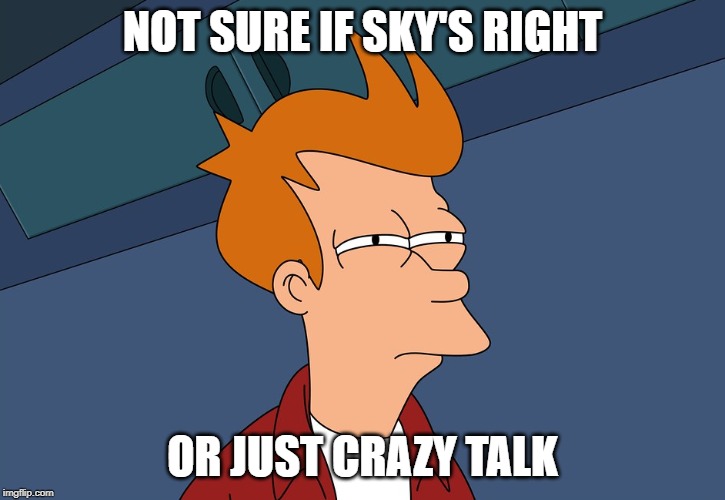 NOT SURE IF SKY'S RIGHT; OR JUST CRAZY TALK | made w/ Imgflip meme maker