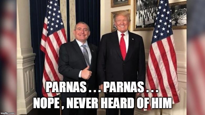 PARNAS . . . PARNAS . . . NOPE , NEVER HEARD OF HIM | image tagged in trump,crook | made w/ Imgflip meme maker