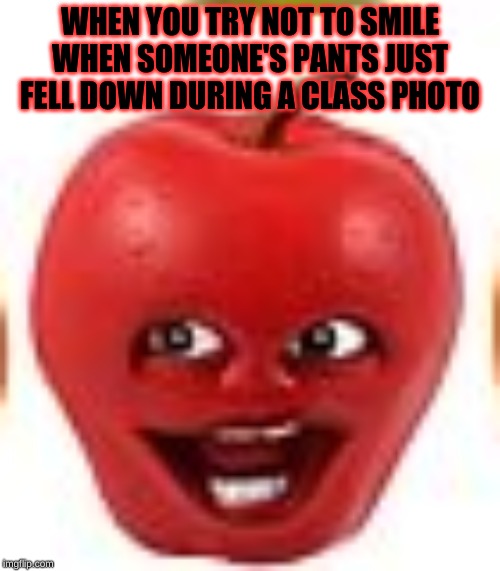 WHEN YOU TRY NOT TO SMILE WHEN SOMEONE'S PANTS JUST FELL DOWN DURING A CLASS PHOTO | image tagged in annoying orange | made w/ Imgflip meme maker