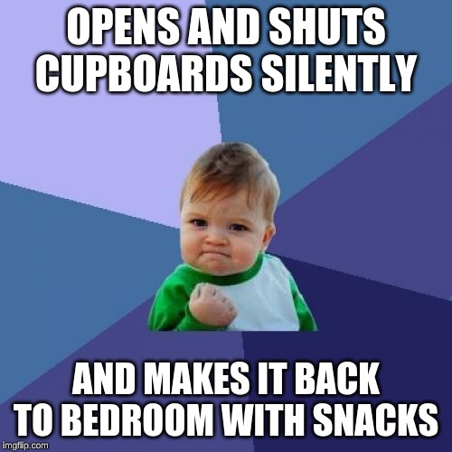 Success Kid | OPENS AND SHUTS CUPBOARDS SILENTLY; AND MAKES IT BACK TO BEDROOM WITH SNACKS | image tagged in memes,success kid | made w/ Imgflip meme maker