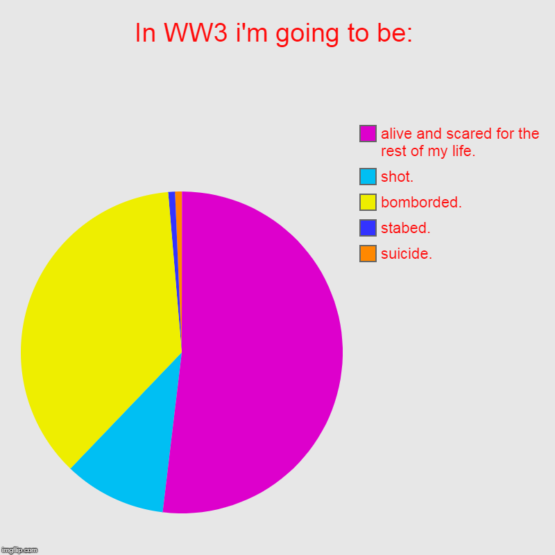 In WW3 i'm going to be: | suicide., stabed., bomborded., shot., alive and scared for the rest of my life. | image tagged in charts,pie charts | made w/ Imgflip chart maker