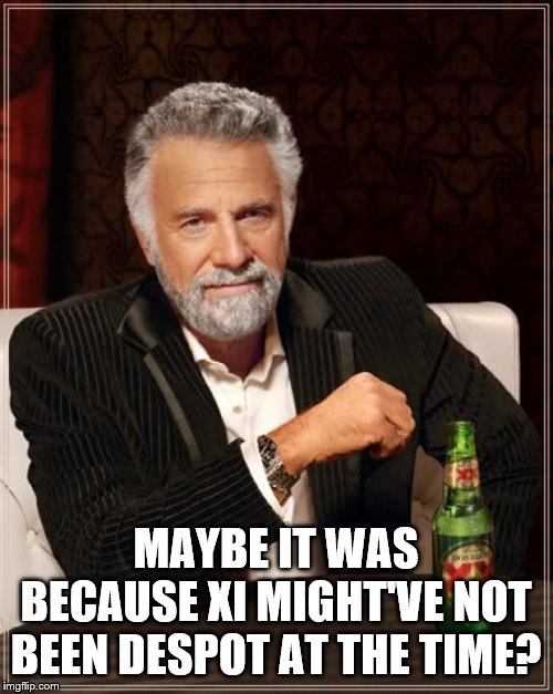 The Most Interesting Man In The World Meme | MAYBE IT WAS BECAUSE XI MIGHT'VE NOT BEEN DESPOT AT THE TIME? | image tagged in memes,the most interesting man in the world | made w/ Imgflip meme maker